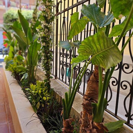 تيرمولي Suebi Rooms المظهر الخارجي الصورة