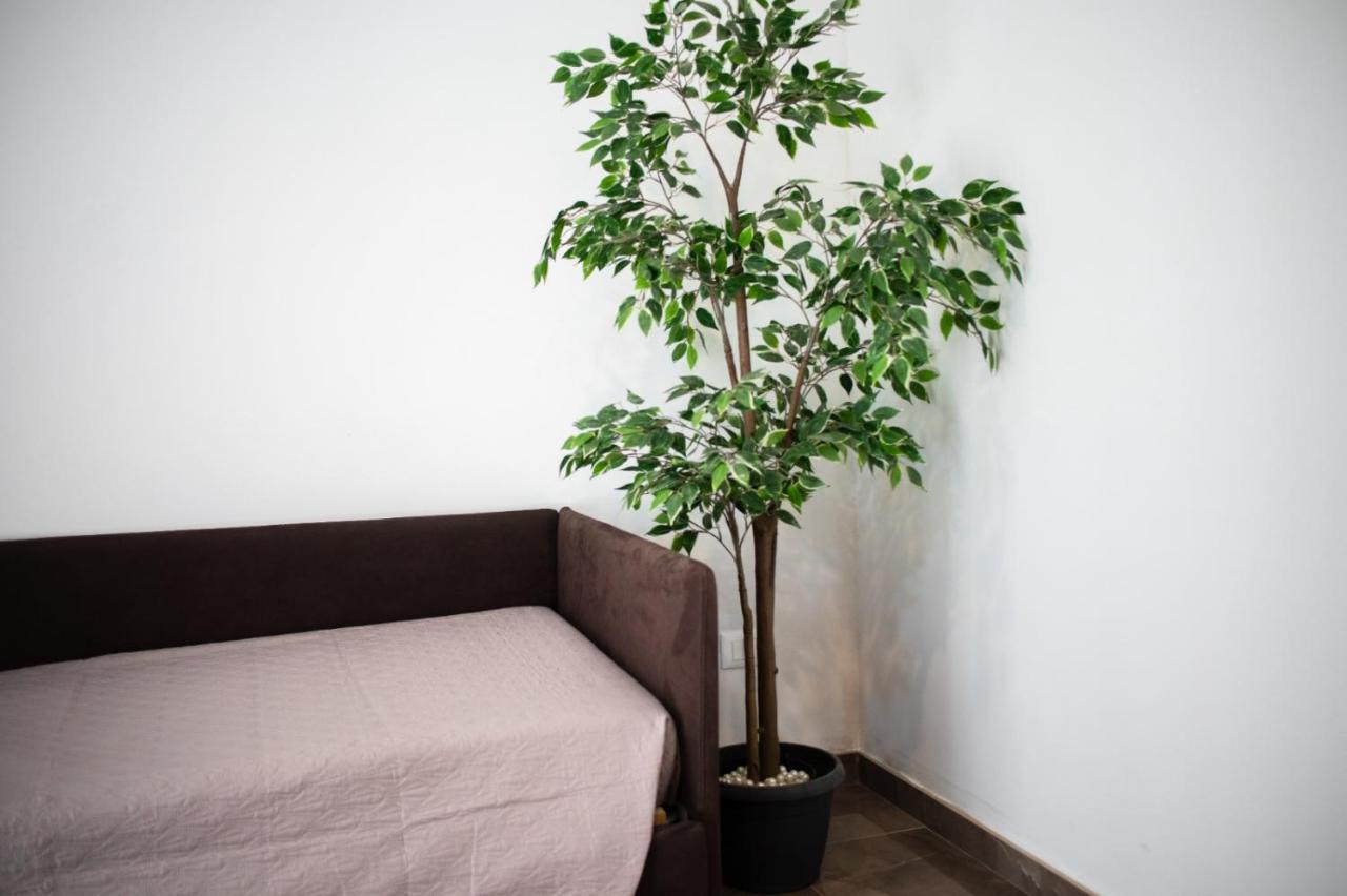 تيرمولي Suebi Rooms المظهر الخارجي الصورة