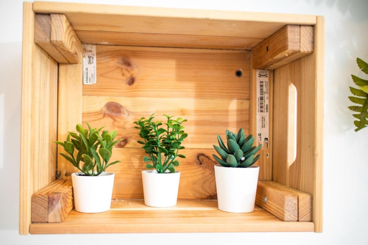 تيرمولي Suebi Rooms المظهر الخارجي الصورة