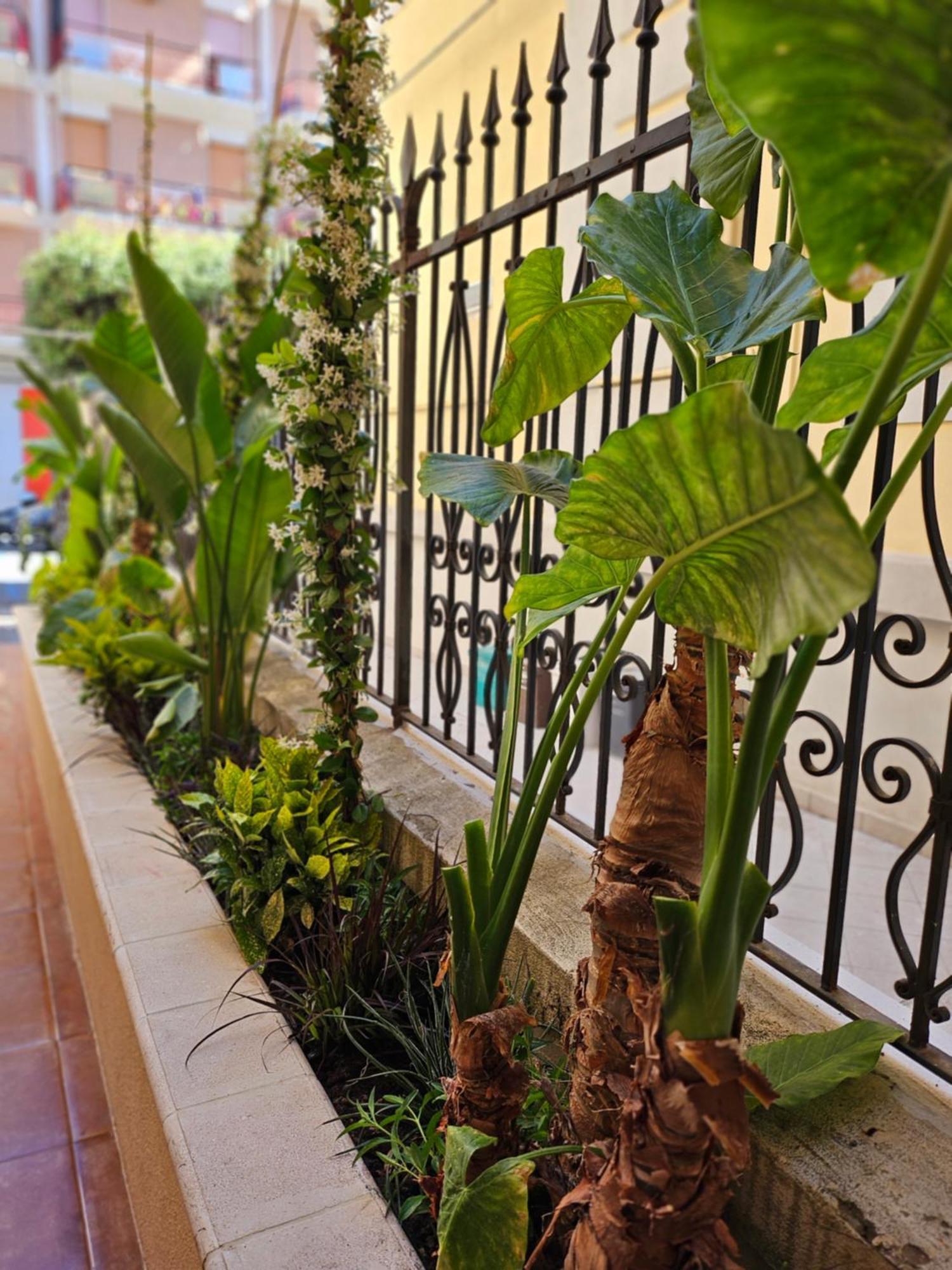 تيرمولي Suebi Rooms المظهر الخارجي الصورة